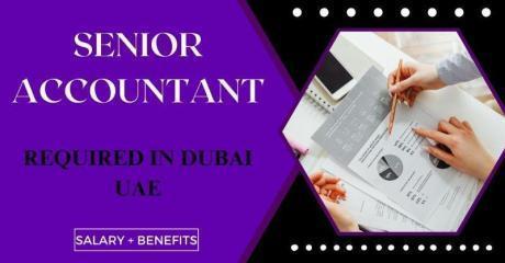 Senior Accountant Required in Dubai
