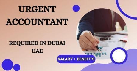 Urgent Accountant Required in Dubai